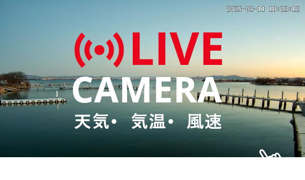 LIVE CAMERA
